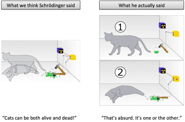 uncertainty principle cat experiment