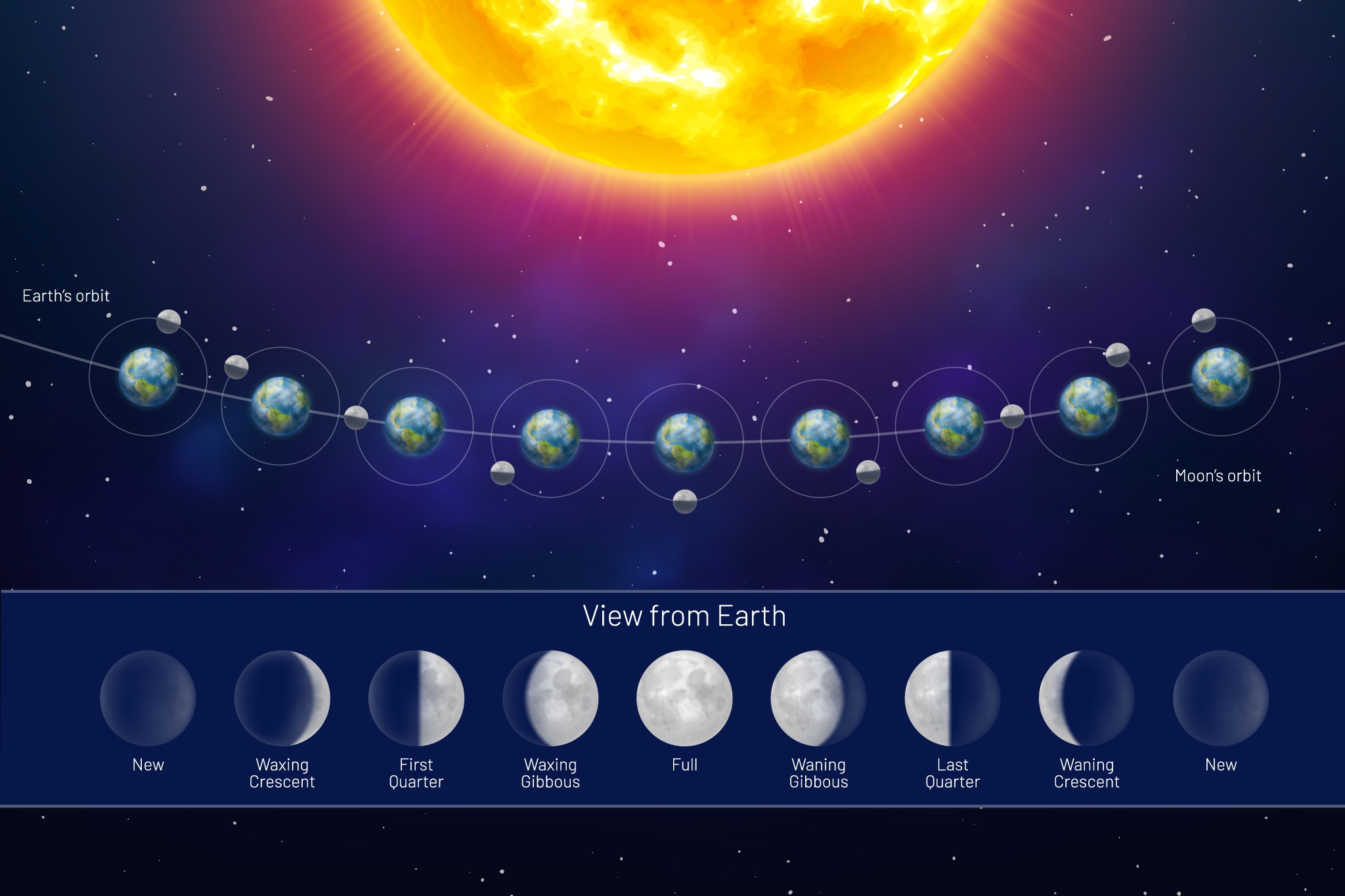 What Causes Moon Phases All 8 Moon Phases Explained Images and Photos
